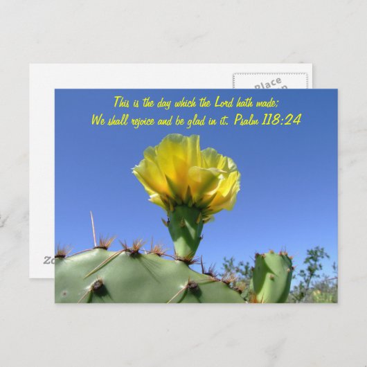 Bijbelvers briefkaart cactus bloem (Voorkant / Achterkant)