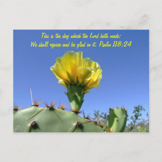 Bijbelvers briefkaart cactus bloem
