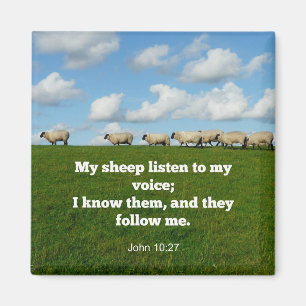 Bijbelvers, John 10:27, Magneet