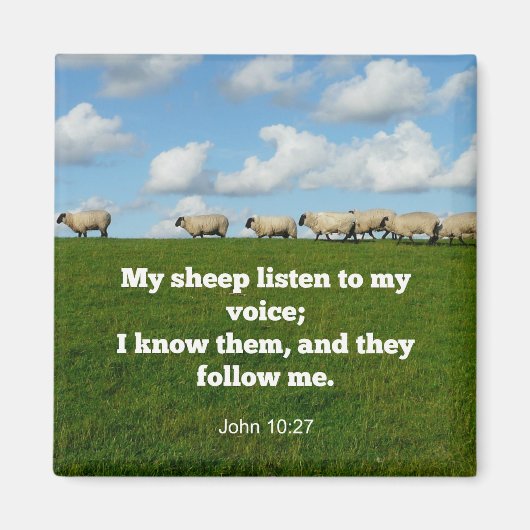 Bijbelvers, John 10:27, Mijn schapen.. Magneet (Voorkant)