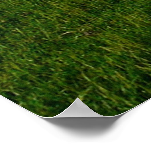 Bijbelvers, John 10:27, Poster (Hoek)