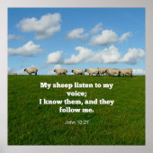 Bijbelvers, John 10:27, Poster (Voorkant)