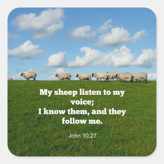 Bijbelvers, John 10:27 Vierkante Sticker (Voorkant)