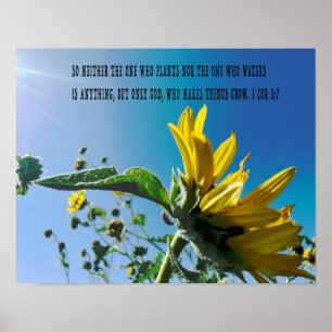 Bijbelvers poster, de bloemen groeien met God. Poster