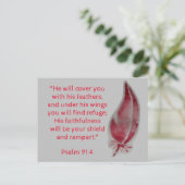 Bijbelversansichtkaart Psalm 91:4 Veren Briefkaart (Staand voorkant)