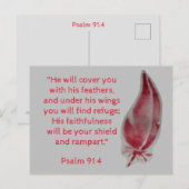 Bijbelversansichtkaart Psalm 91:4 Veren Briefkaart (Voorkant / Achterkant)