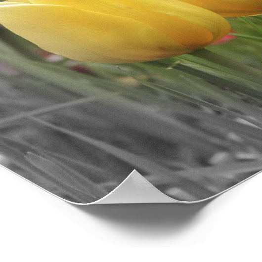 Bijbelverse Christelijke prijsopgave Poster (Hoek)