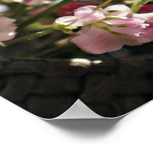 Bijbelverse Poster (Hoek)