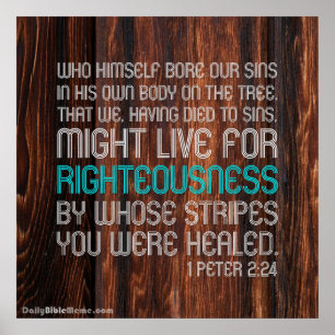 Bijbelverse Poster - 1 Peter 2:24