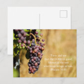 Bijbelverse Psalms 34:8 Briefkaart: Smaak en zie Briefkaart (Voorkant / Achterkant)