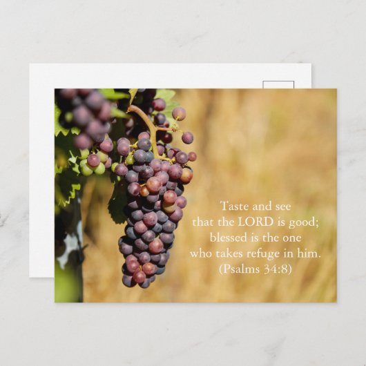 Bijbelverse Psalms 34:8 Briefkaart: Smaak en zie Briefkaart (Voorkant / Achterkant)