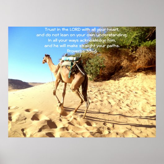 Bijbelversen Citaat over Trustwoorden 3:5-6 Poster (Voorkant)