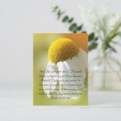 Bijbelversen, Daisy Briefkaart (Staand voorkant)