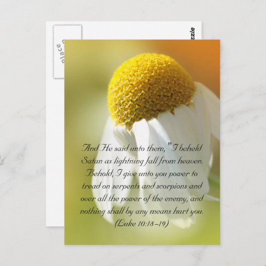 Bijbelversen, Daisy Briefkaart (Voorkant / Achterkant)