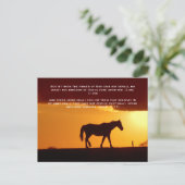 Bijbelversen, een paard in de zon briefkaart (Staand voorkant)