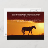 Bijbelversen, een paard in de zon briefkaart (Voorkant / Achterkant)