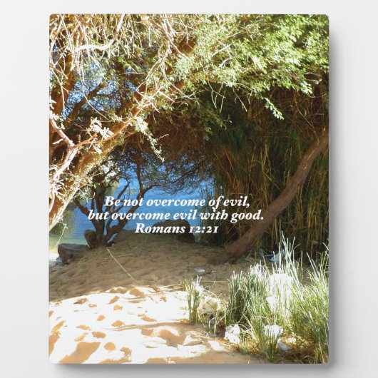 Bijbelverses Love Quote Gezegde Romans 12:21 Fotoplaat (Voorkant)