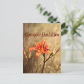 Bijbelversie: Overweeg de gelilies Briefkaart (Staand voorkant)