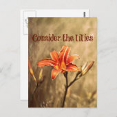 Bijbelversie: Overweeg de gelilies Briefkaart (Voorkant / Achterkant)