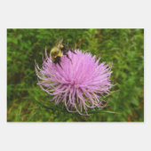 Bijdehand op Distel Inpakpapier Vel (Voorkant)