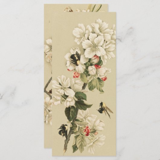 bijen (Voorkant / Achterkant)