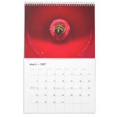 Bijen 2020-kalender kalender (Mar 2027)