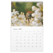Bijen 2020-kalender kalender (Jan 2027)