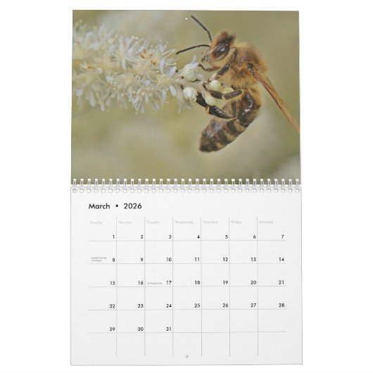 Bijen 2025 kalender (Mar 2026)