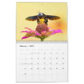 Bijen 2027 kalender (Feb 2027)