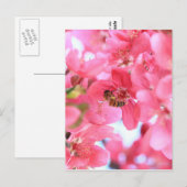 Bijen 2 briefkaart (Voorkant / Achterkant)