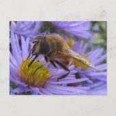 Bijen aan de ventilator briefkaart (Voorkant)