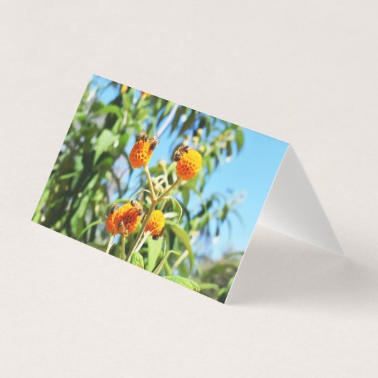 Bijen aan het werk Blank Wenskaart Kaart (Voorkant)