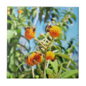 Bijen aan het werk Keramische Tegel Tegeltje (Voorkant)