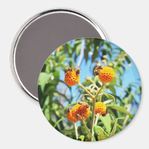 Bijen aan het werk magneet