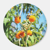 Bijen aan het werk magneet (Voorkant)