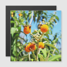 Bijen aan het werk Magnetische Kaart