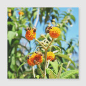 Bijen aan het werk Magnetische Kaart (Voorkant)