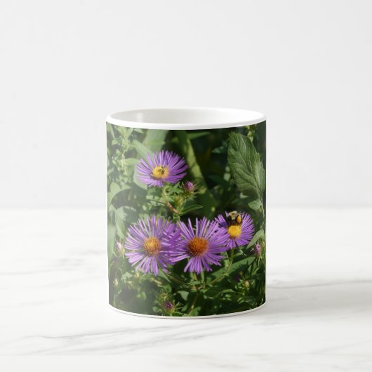 Bijen aan het werk op Asterbloemen Koffiemok (Center)