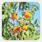 Bijen aan het werk vierkante sticker (Voorkant)