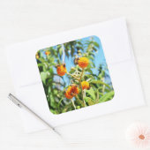 Bijen aan het werk vierkante sticker (Envelop)