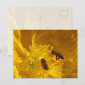 Bijen ansichtkaart briefkaart (Voorkant / Achterkant)