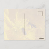 Bijen ansichtkaart briefkaart (Achterkant)