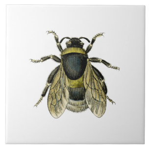 Bijen antiek illustratie tegeltje