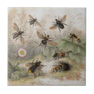 Bijen Antiek Lithograaftegel Tegeltje