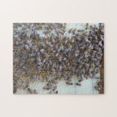 Bijen, bijen! Waar is koningin Bee? Legpuzzel (Horizontaal)