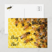 Bijen bijenkorf briefkaart (Voorkant / Achterkant)