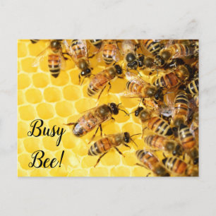 Bijen bijenkorf briefkaart