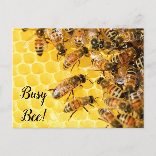 Bijen bijenkorf briefkaart (Voorkant)