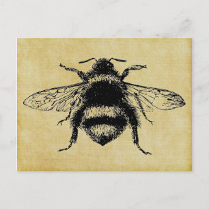 bijen briefkaart