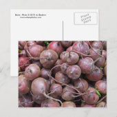 Bijen Briefkaart (Voorkant / Achterkant)